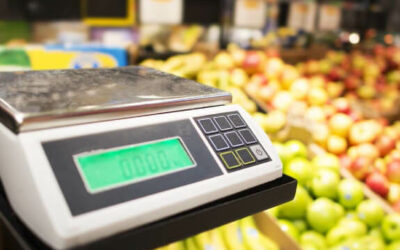 What Is A Bench Scale?