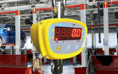 What Are Crane Scales?