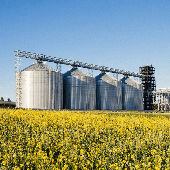 Four metal silos with a field infront of them